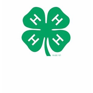 Rex & Martha Kellogg 4H Scholarship